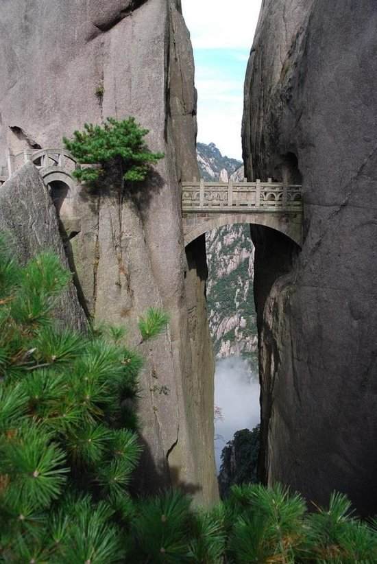 the bridge of immortals the bridge